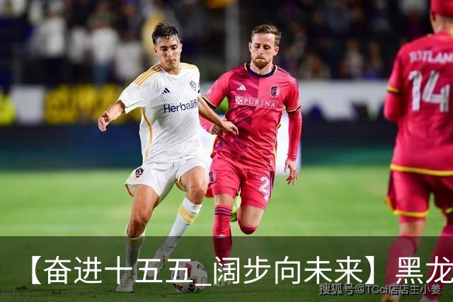 【奋进十五五 阔步向未来】黑龙江农机产业正加速迈向高端化智能化绿色化